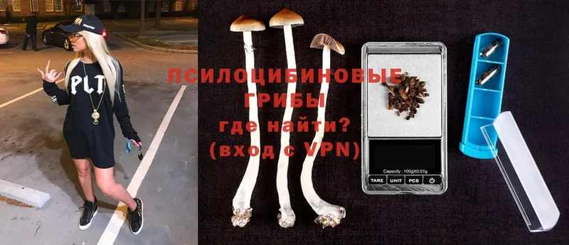 Псилоцибиновые грибы Magic Shrooms  Пугачёв 